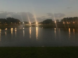 This looks like a nighttime photo of a pond and a bridge. The streetlights are on, casting an eerie light. But it's about 1:42 in the afternoon, during totality of the solar eclipse.