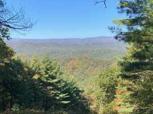 Rows of gentle mountains, covered in a patchwork of green, gold, and red trees. There are pine trees in the foreground and there's a bright blue sky above.