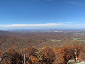 A view of mountains covered in red and gold trees with a bright blue sky overhead.