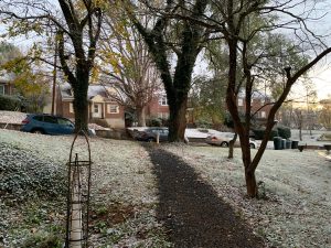 A light dusting of snow covers the ground. A dark path leads from the camera toward the street, going between tall trees. In the background, red brick houses have snow-covered roofs.