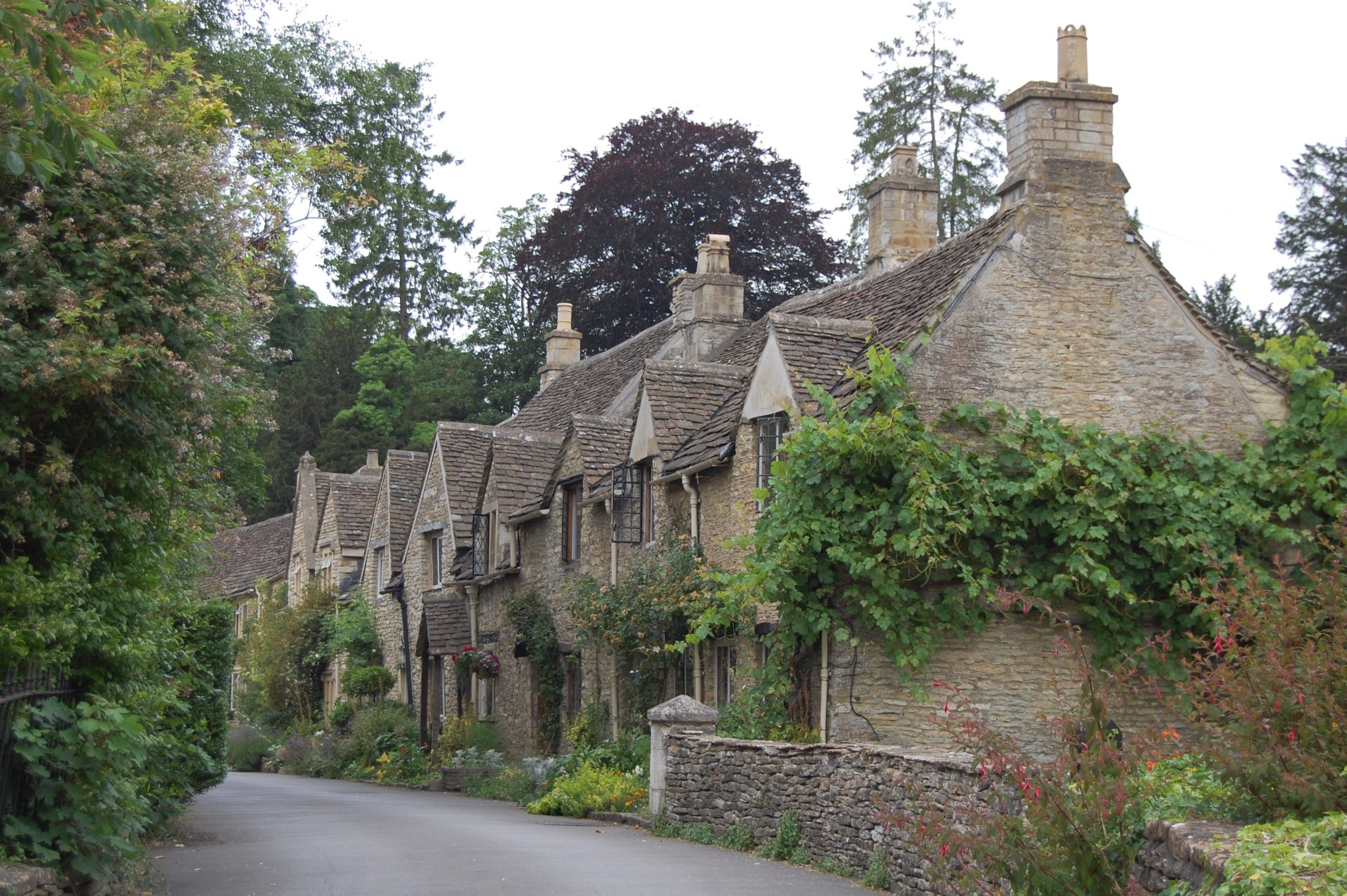 A row of honey-colored stone Cotswold cottages. The end cottage is covered in vines, and there are plants and flowers in front of each cottage.