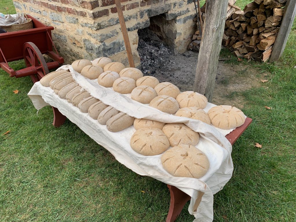 A close-up look at the rows of bread loaves laid out on the benches by the oven. The tops of the loaves have been slashed for baking. Some of the loaves are lighter and round. Others are darker and oblong.