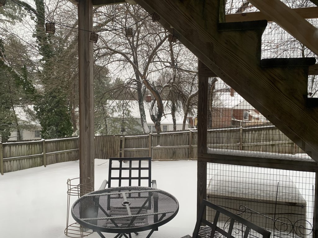 A view of a back porch and yard on a snowy day. The yard is covered in thick, fluffy snow, like a generous coating of whipped cream. The patio furniture is bare black metal mesh.