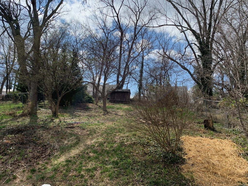 A winter-bare back yard, up a steeply sloping hill. There is some grass barely growing, and a lot of bare trees.