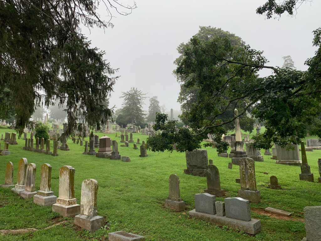 An old cemetery full of weathered stones, seen on a misty morning.