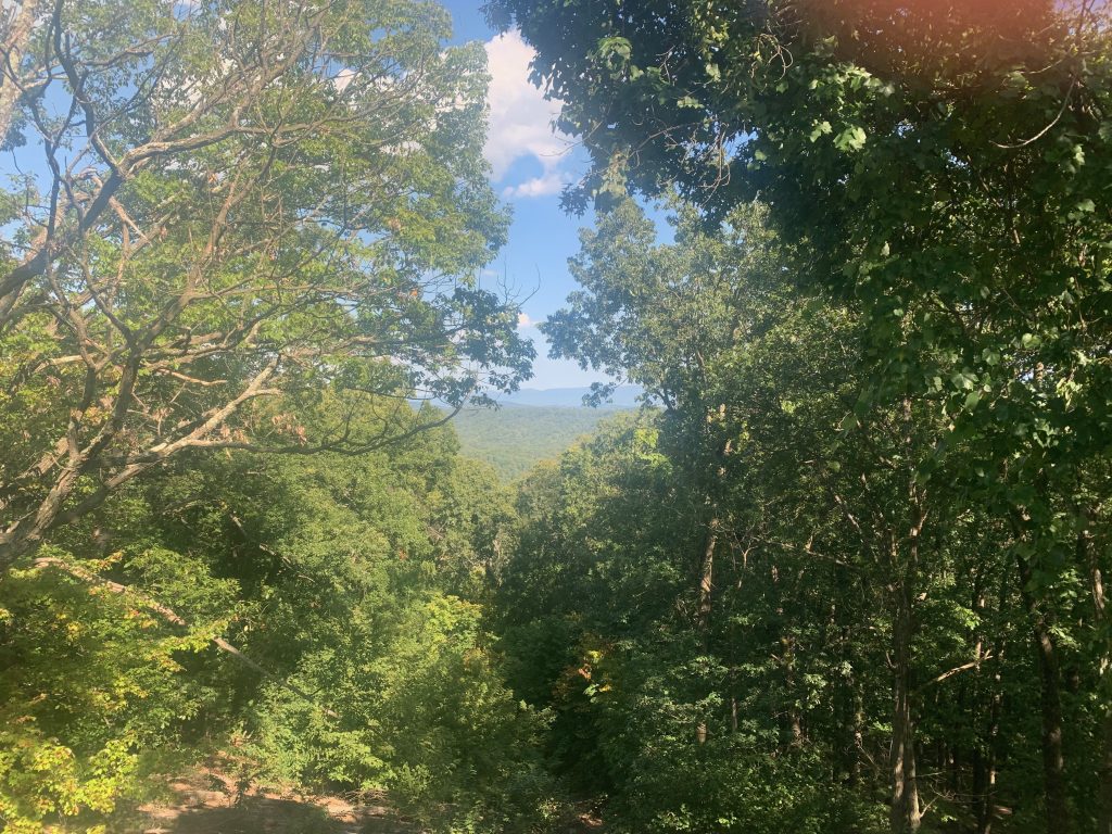 Trees in the foreground frame a view, with a distant ridge of blue mountains, and a closer ridge with the covering of trees visible.