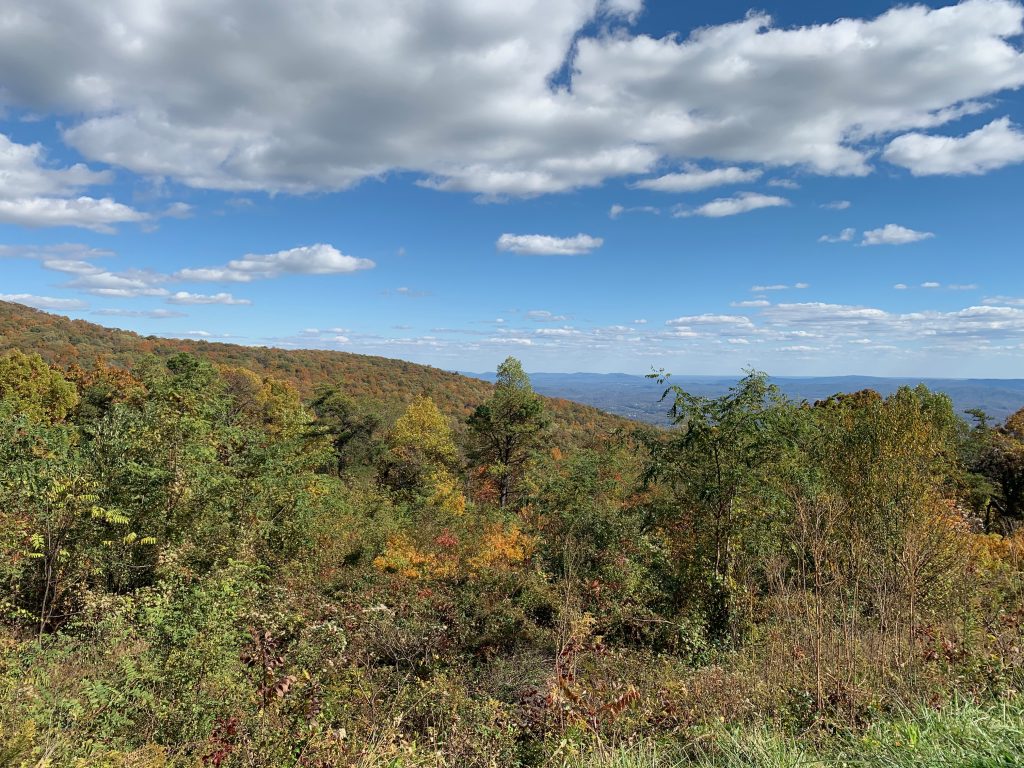 A view of a mountain covered in trees that are various shades of fall colors, with more mountains in the background.