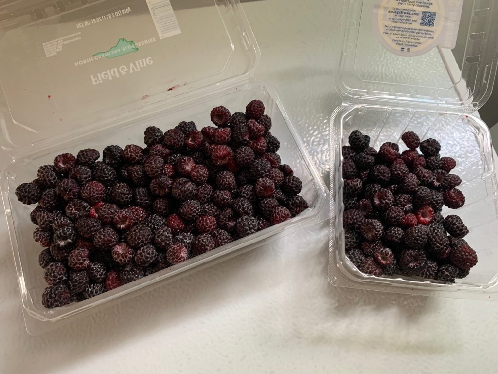 A large plastic container and a small plastic container full of black raspberries. They look like mini blackberries.