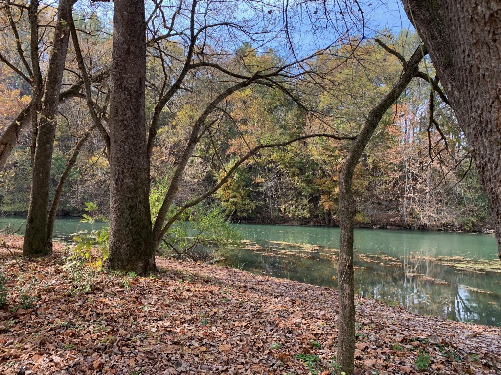 A placid river flows through a wooded area. Leaves cover the ground.