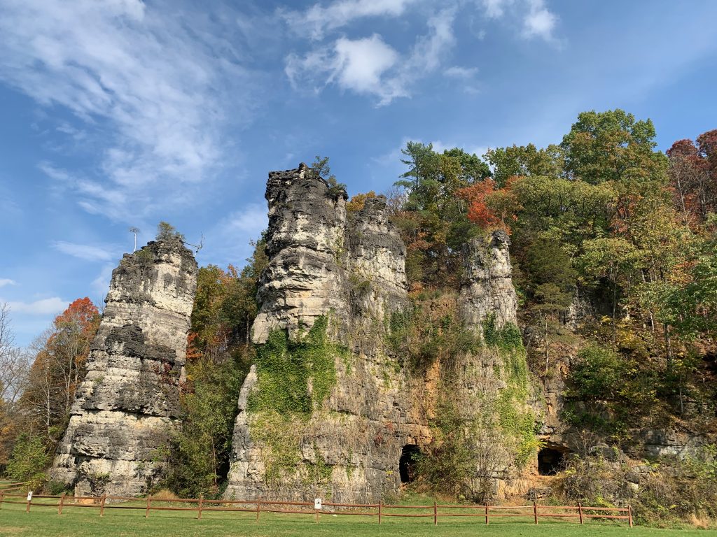 A series of tall, cylindrical rock formations, with vines and trees growing on them.